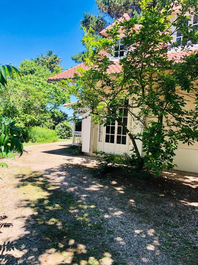 Villa Vue Mer Avec Acces Direct A La Plage Varengeville-sur-Mer Exterior photo