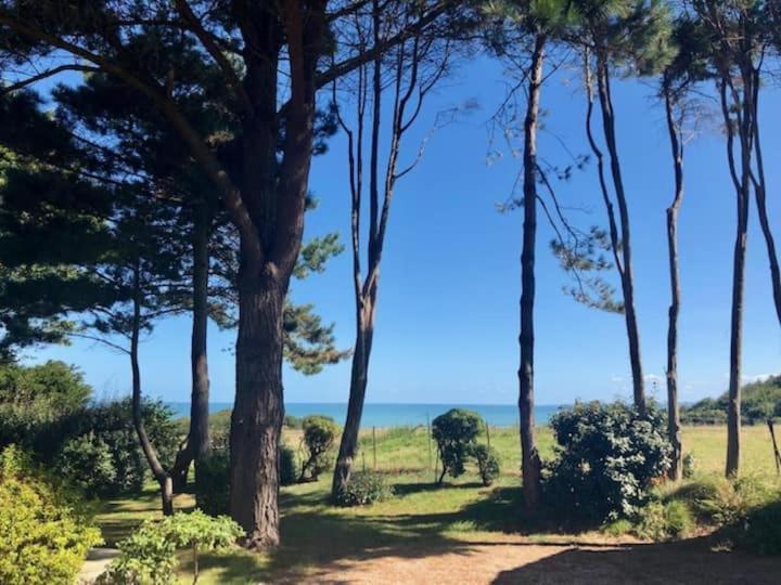 Villa Vue Mer Avec Acces Direct A La Plage Varengeville-sur-Mer Exterior photo